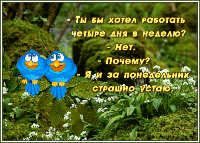 Открытка забавная открытка с понедельником