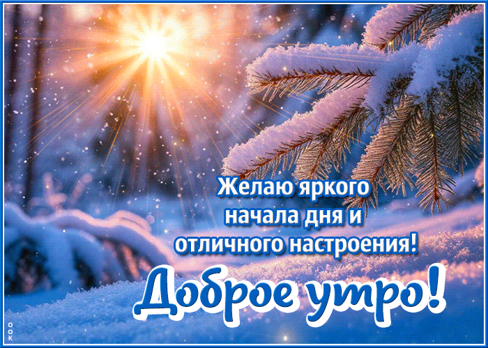 Postcard желаю яркого начала дня и отличного настроения