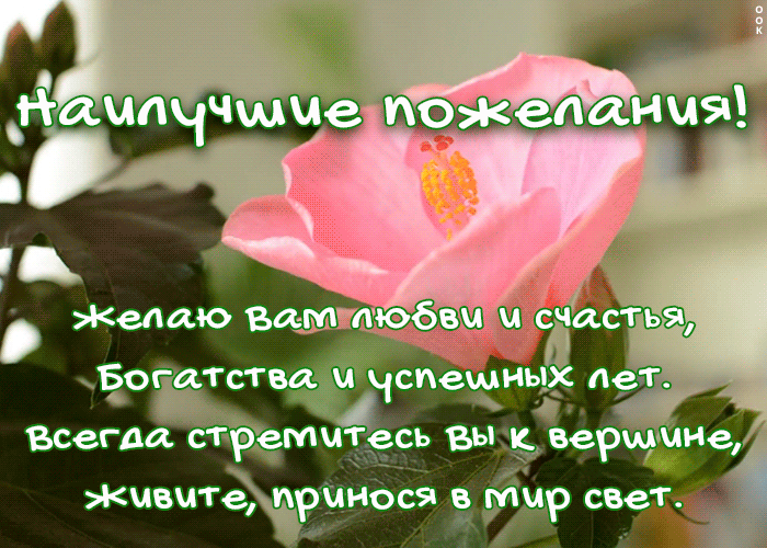 Открытка желаю вам любви и счастья