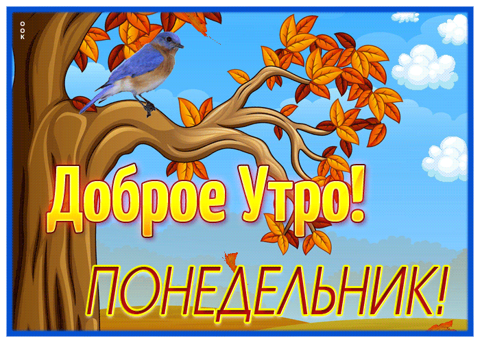 Картинка живая открытка доброго понедельника с птицей