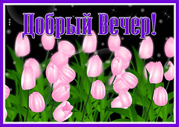Открытка живая открытка добрый вечер с розами