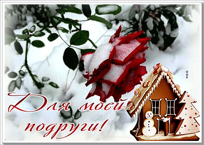 Picture зимняя открытка для моей подруги с розой