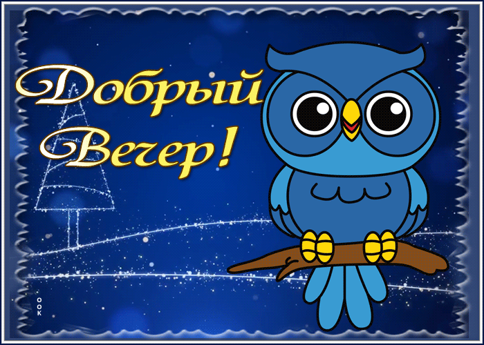 Picture зимняя открытка добрый вечер с совой