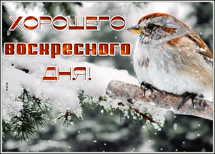 Картинка зимняя открытка хорошего воскресного дня