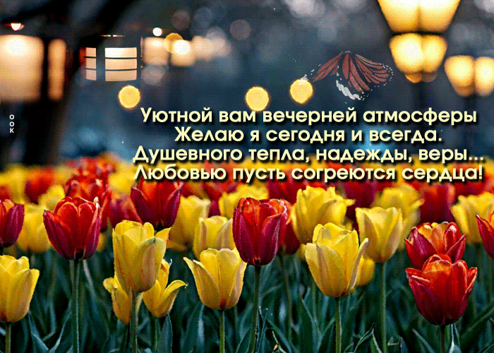 Picture живая гиф-открытка, уютной вам вечерней атмосферы