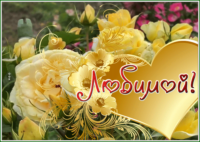 Picture живая открытка для любимой с розами