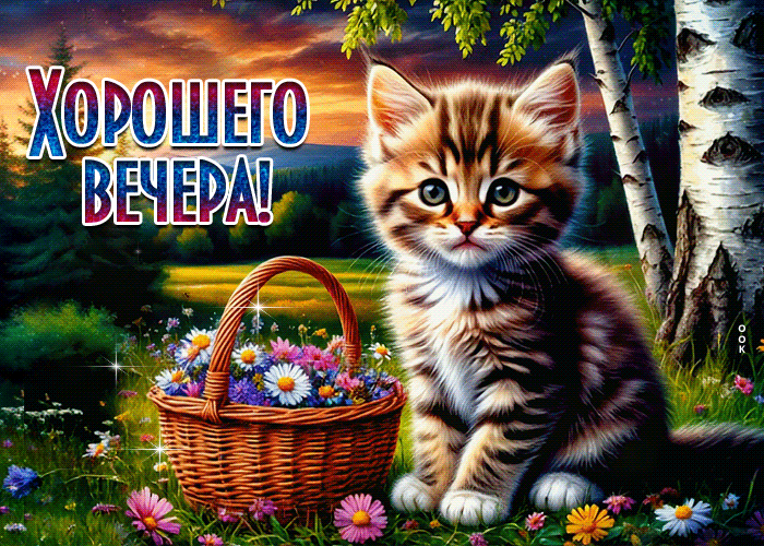 Picture звонкая гиф-открытка, хорошего вечера от котика