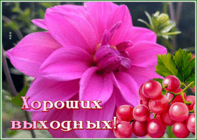 Postcard 1