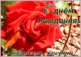 Картинка анимационная картинка с юбилеем сестре