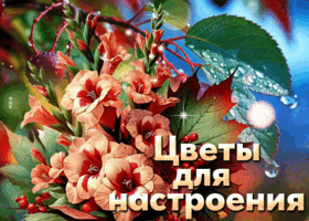 Picture атмосферная открытка, с цветами для души