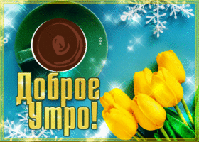 Postcard чудесная открытка доброе утро с желтыми тюльпанами