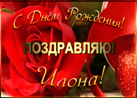 Picture именная открытка с днем рождения илона