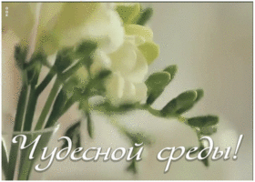 Открытка картинка чудесной среды
