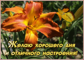 Картинка картинка хорошего дня и отличного настроения