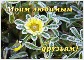 Открытка классная открытка друзьям