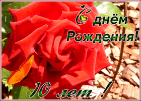 Открытка красивая открытка день рождения 10 лет