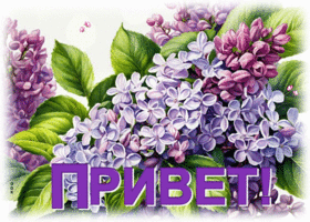 Postcard легкая гиф-открытка, теплый привет