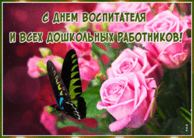 Открытка милая открытка на день воспитателя