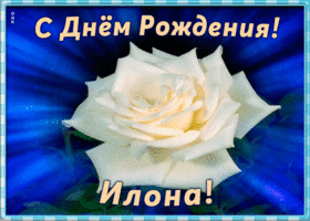 Picture необычная открытка с днем рождения илона