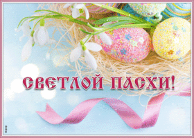 Картинка новая открытка с пасхой