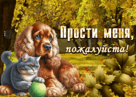 Postcard очаровательная и пёстрая открытка прости меня, пожалуйста