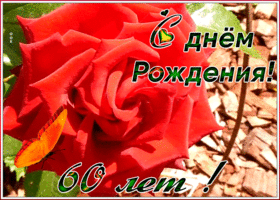 Открытка оригинальная открытка день рождения 60 лет
