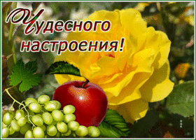 Postcard открытка чудесного настроения со спелым яблочком