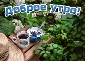 Picture открытка доброе утро с завтраком на даче