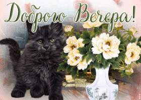 Открытка отличная открытка добрый вечер