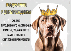Postcard поздравляю с днем рождения! желаю праздничного настроения