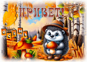 Picture респектабельная гиф-открытка, привет, осень