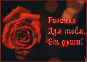 Открытка розочка для тебя