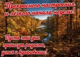 Picture с вами осень становится ещё красивее!