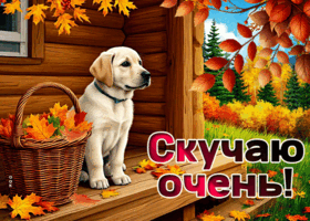 Postcard светлая открытка, скучаю и хочу видеть тебя