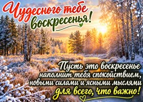 Postcard твоя грация и свет делают этот день по-настоящему особенным.