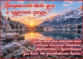 Picture твоя удивительная поддержка и тепло озаряют этот день ярче любого зимнего солнца!