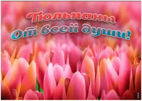 Открытка тюльпаны от всей души