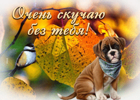 Postcard уютная гиф-открытка очень скучаю без тебя