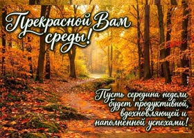 Postcard в вас есть особенный свет, который согревает всё вокруг.