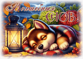 Postcard вдохновляющая гиф-открытка, волшебных снов
